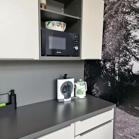 Apartmán Loft Pri Parku, Air Conditioned, Free Private Parking *